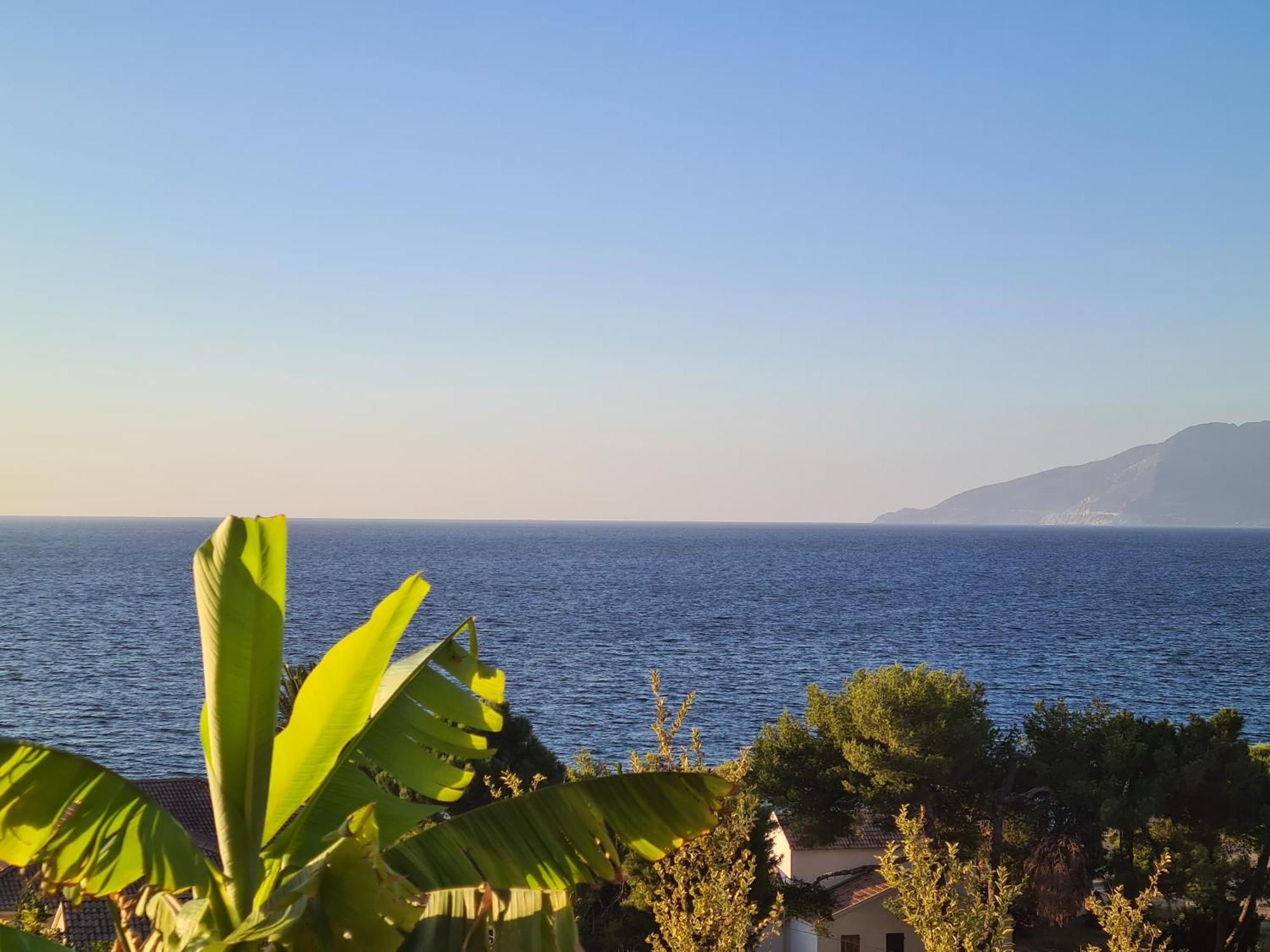 Le Panoramic Apartment Saint-Florent  Exterior photo